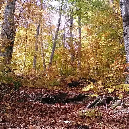 Drazilovo Hébergement de vacances Metamorfosi (Pella)