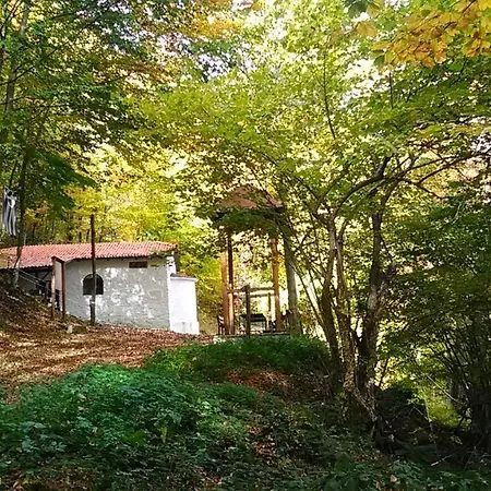 Drazilovo Hébergement de vacances
